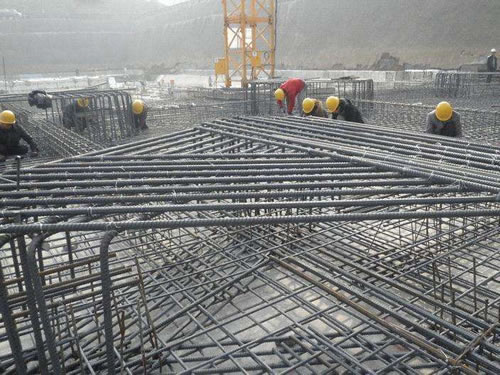 P站PROBRUN手机软件免费下载